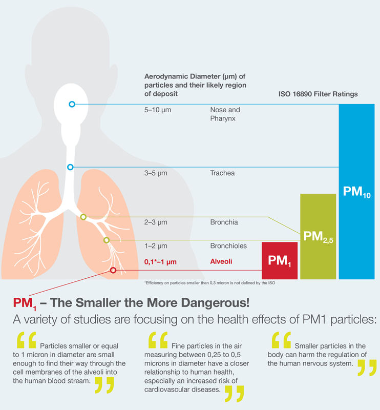 ISO 16890 Classifications Are Based On Where Particles Are Deposited in the Human Lung 